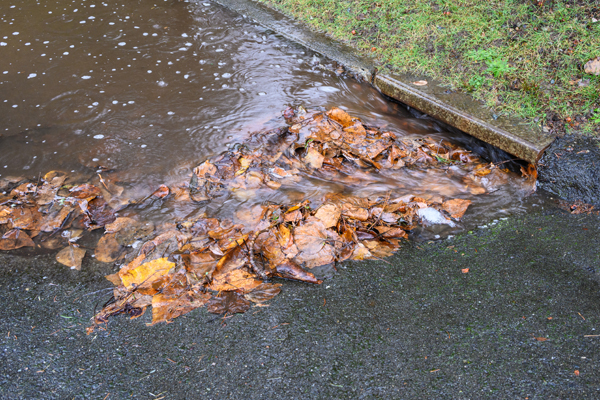 A road drain blocked with leaves showing water backing up